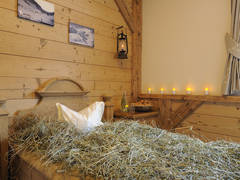 Zimmerbild 21