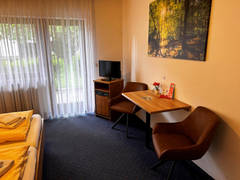 Zimmerbild 8