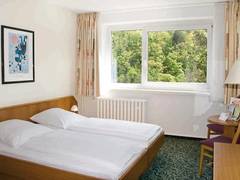 Zimmerbild 11