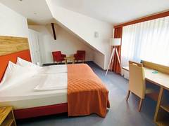 Zimmerbild 1