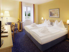Zimmerbild 23