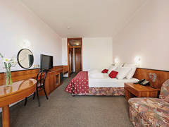 Zimmerbild 8
