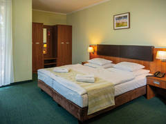 Zimmerbild 1