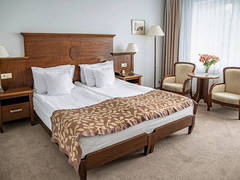 Zimmerbild 6