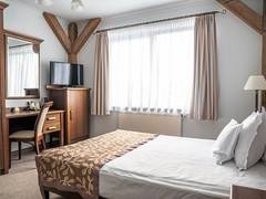Zimmerbild 1