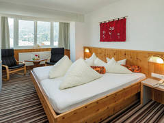 Zimmerbild 23