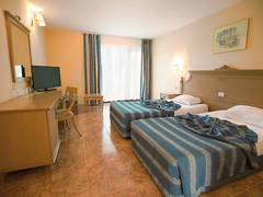 Zimmerbild 1