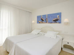 Zimmerbild 3
