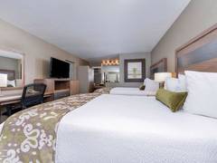Zimmerbild 5