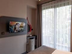 Zimmerbild 8
