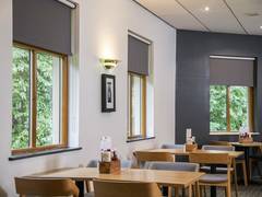Zimmerbild 1