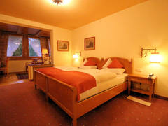 Zimmerbild 47