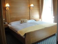 Zimmerbild 9