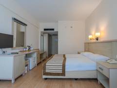 Zimmerbild 11