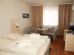 Zimmerbild 9