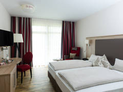 Zimmerbild 13