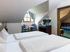 Zimmerbild 11
