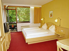 Zimmerbild 36