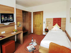 Zimmerbild 8