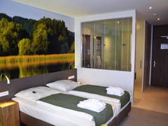 Zimmerbild 1