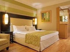 Zimmerbild 8