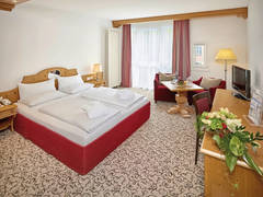 Zimmerbild 8