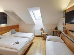 Zimmerbild 6