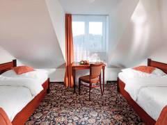 Zimmerbild 5