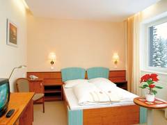 Zimmerbild 1