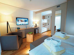 Zimmerbild 1