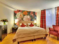 Zimmerbild 5