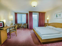 Zimmerbild 29
