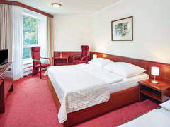 Zimmerbild 3