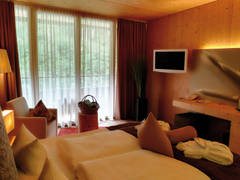 Zimmerbild 3