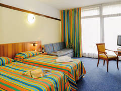 Zimmerbild 1