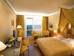 Zimmerbild 6