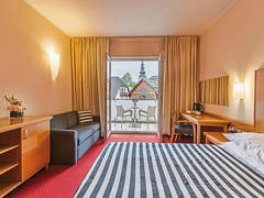 Zimmerbild 11