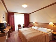 Zimmerbild 7