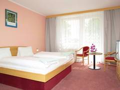 Zimmerbild 11