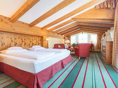 Zimmerbild 11
