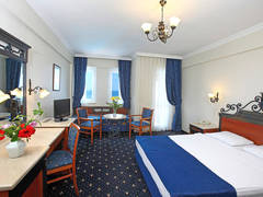 Zimmerbild 18