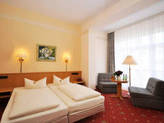 Zimmerbild 29