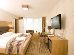 Zimmerbild 8
