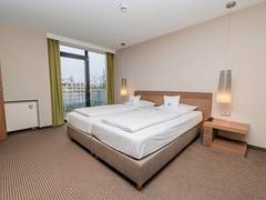 Zimmerbild 6