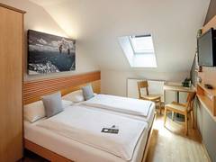 Zimmerbild 1