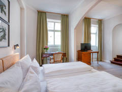 Zimmerbild 19