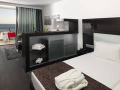 Zimmerbild 61