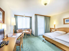 Zimmerbild 31