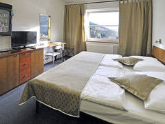 Zimmerbild 22