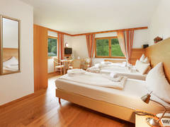 Zimmerbild 7